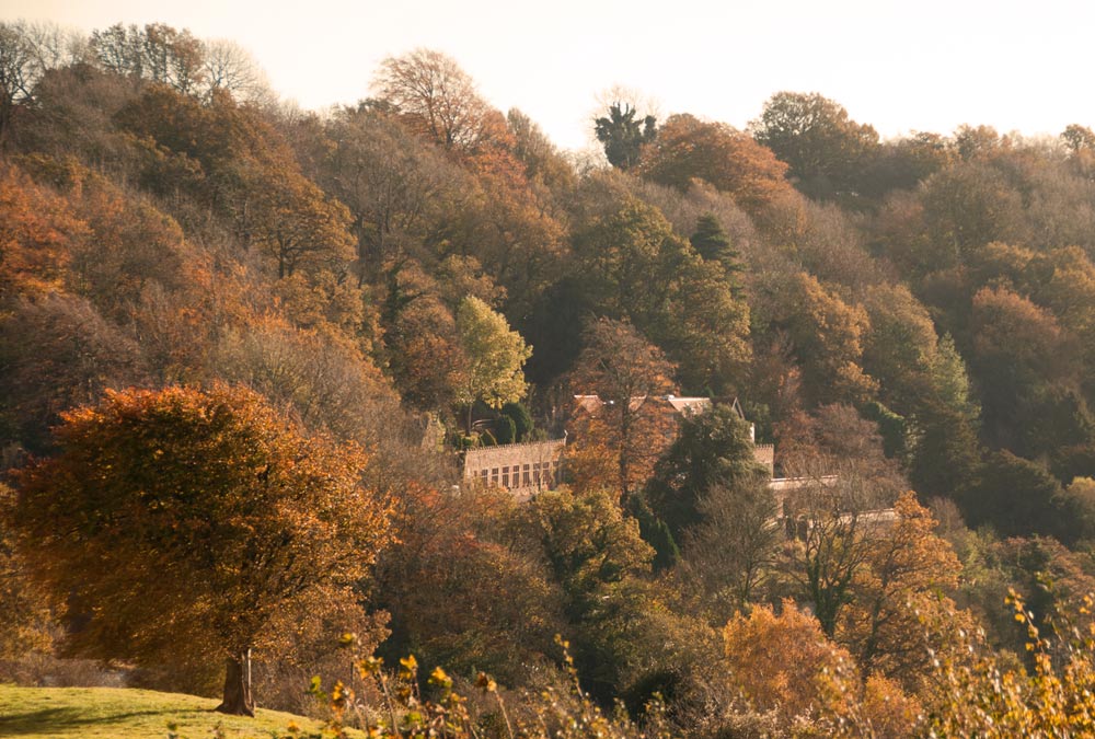 Autumn at Caer Llan