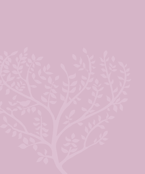 Wedding Review background