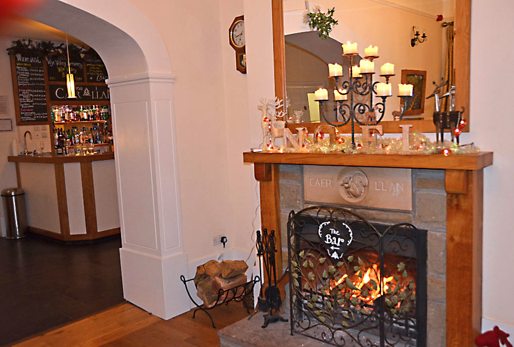 Fireplace and Bar